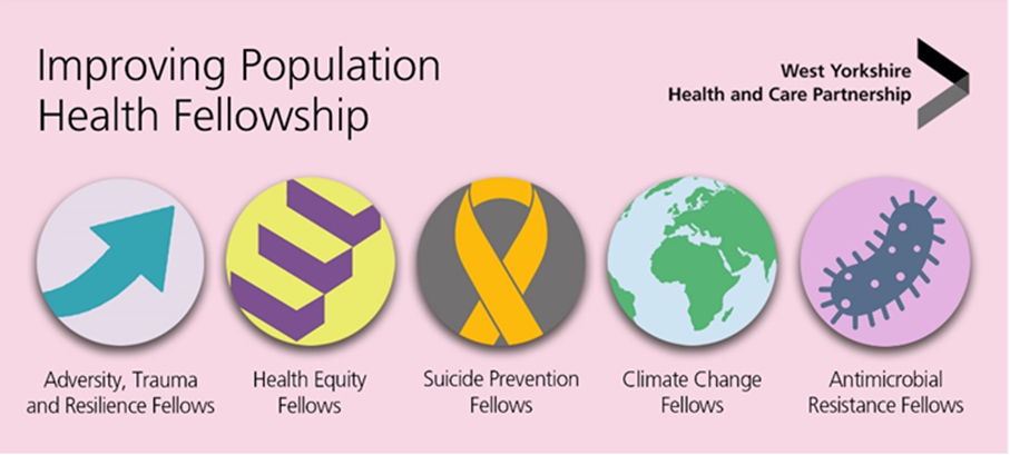 Improving Population Health Fellowship - decorative graphic