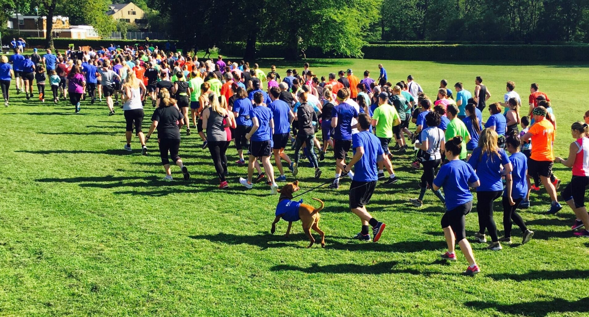 Participants at a fostering Park Run event in Brighouse